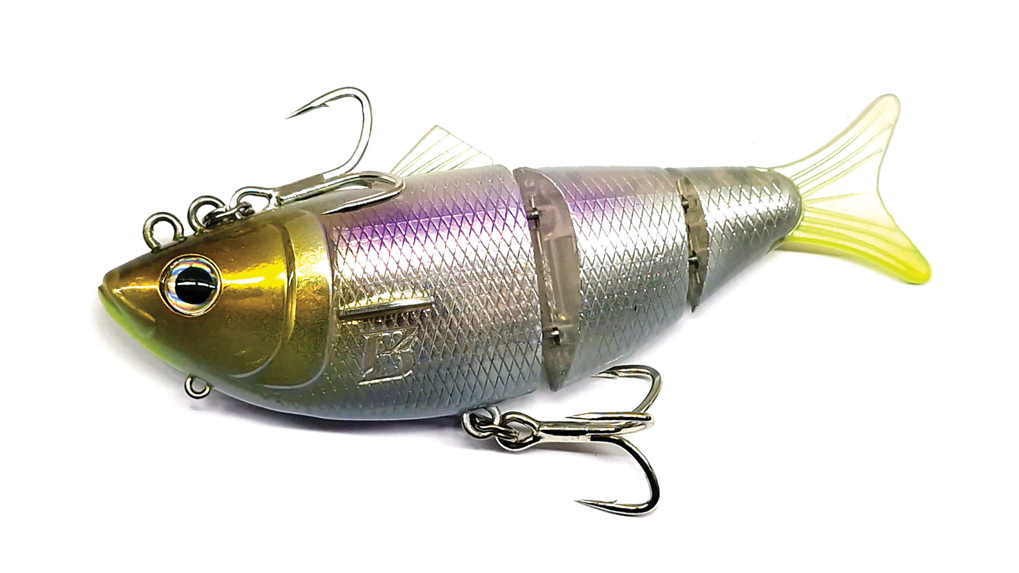 Barambah Bony Shad X