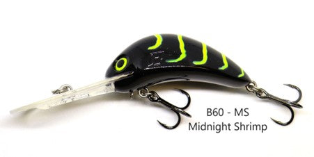 Barambah B60 Diver