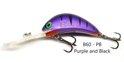 Barambah B60 Diver