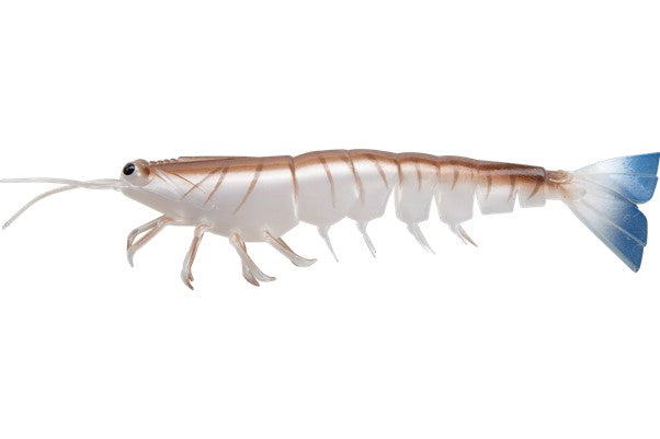 Irukandji Megaprawn 210mm