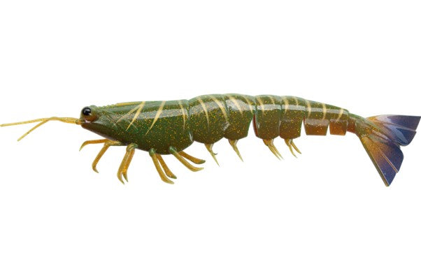 Irukandji Megaprawn 210mm