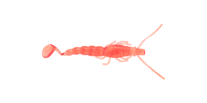 Halco Madeye 4" Paddle Prawn