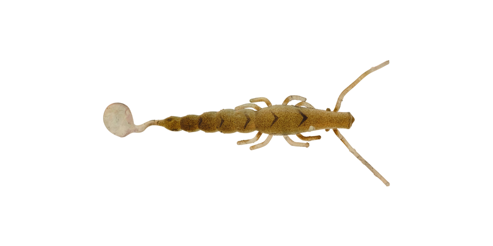 Halco Madeye 4" Paddle Prawn