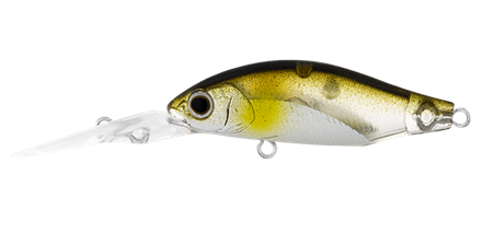 Daiwa Infeet Spike 44MR