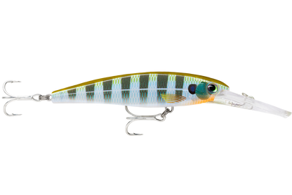 Rapala X-Rap Saltwater Deep 11cm