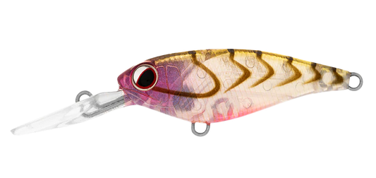 Daiwa Infeet Kodachi