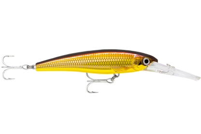 Rapala X-Rap Saltwater Deep 11cm