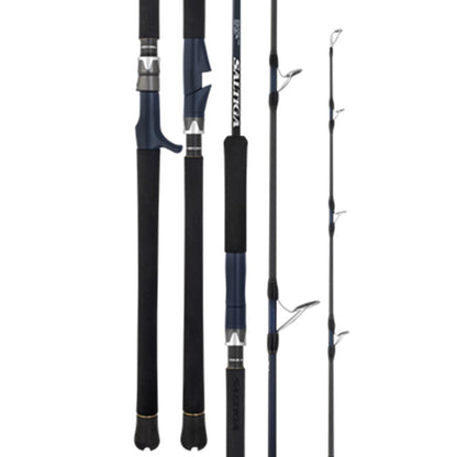 Daiwa Saltiga J 2025