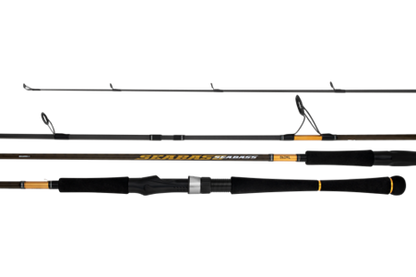 Daiwa Seabass 23
