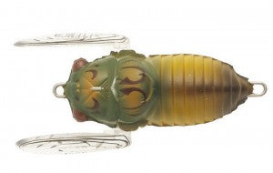 Tiemco Soft Shell Cicada