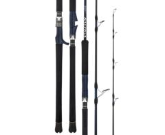 Daiwa Saltiga J 2025