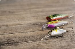 Maize & Corn baits - Oz Fin Chasers - Coarse Fishing Tackle Store -  Australia 